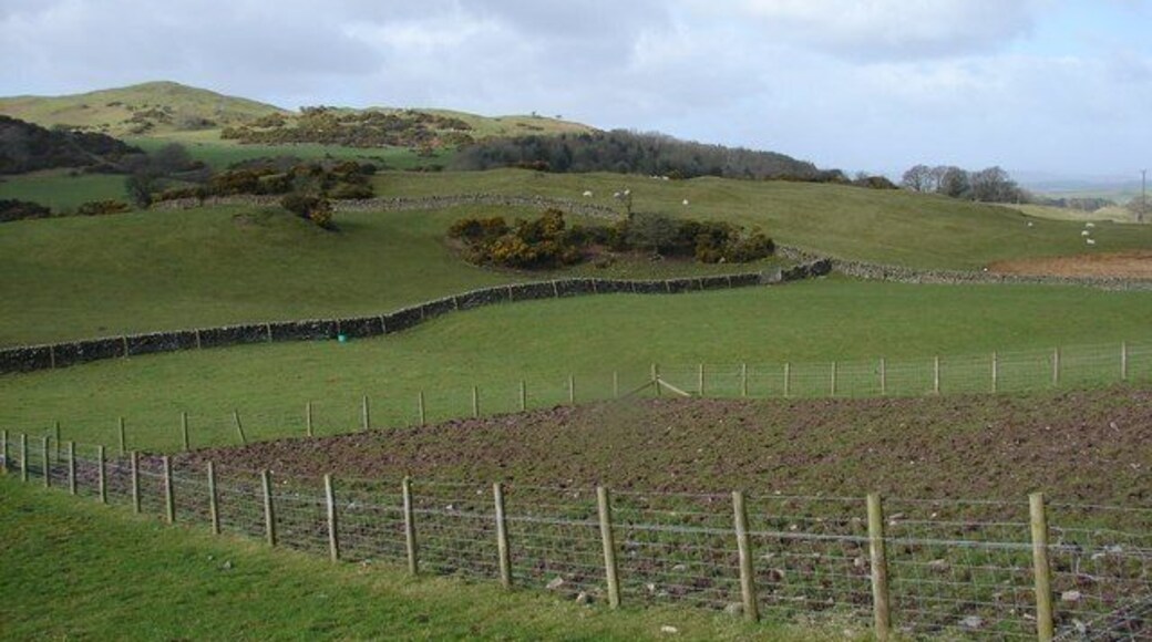 Boreland of Kelton Homestead Moat Archaeological site of the remains of a moated homestead site, possibly connected with the Cistercian monks at Dundrennan. The moat runs east in a semi-circle from the green feed bucket by the stone dyke.