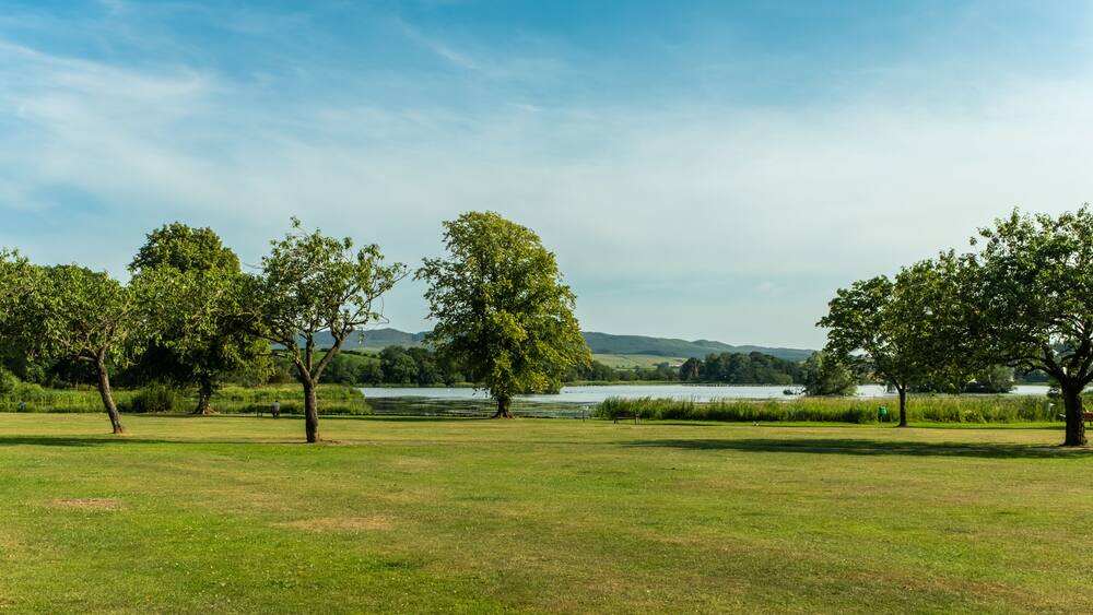 Un champ verdoyant, avec des arbres et un lac en arrière-plan.