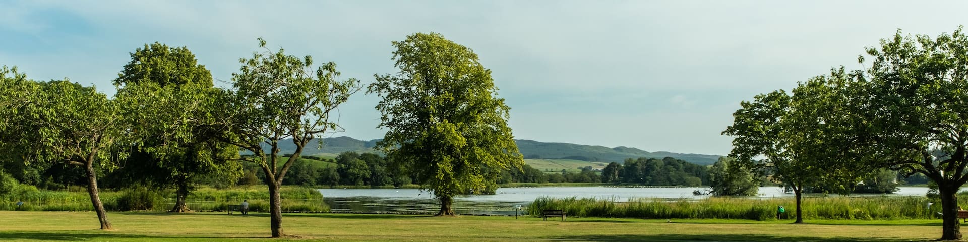 Lochside Park and Carlingwark Loch at Castle douglas on a summers day, Scotland
