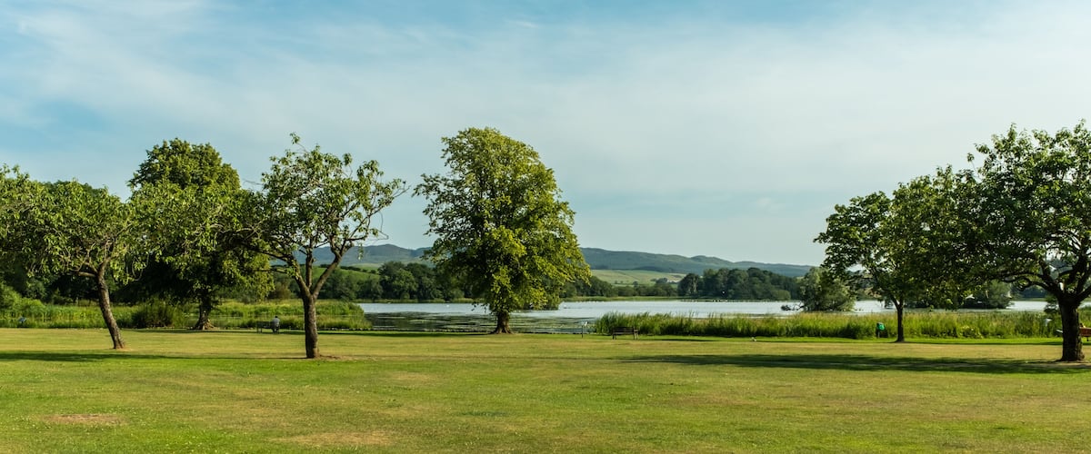 A grassy field with trees and a lake in the background.