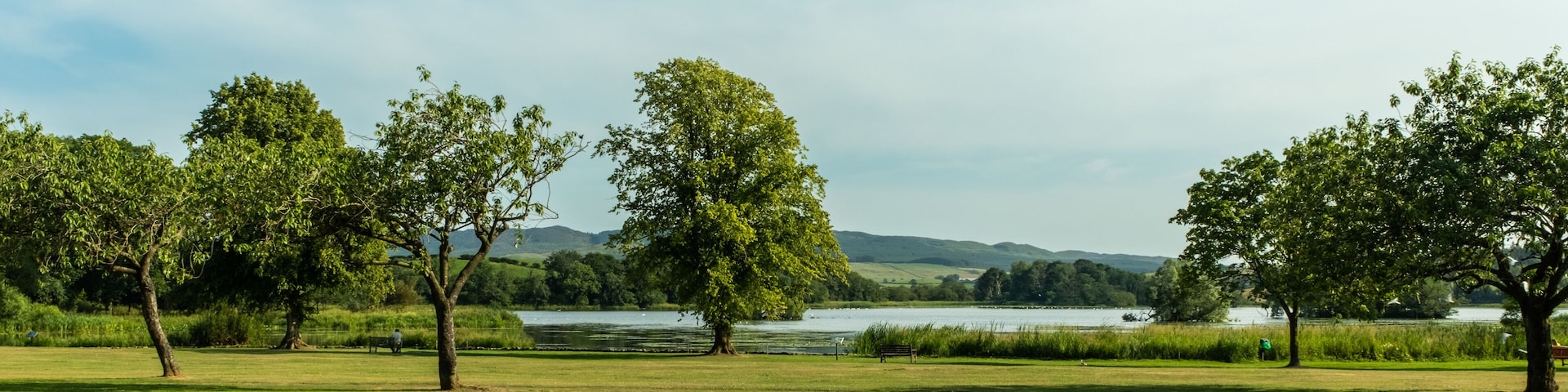 A grassy field with trees and a lake in the background.