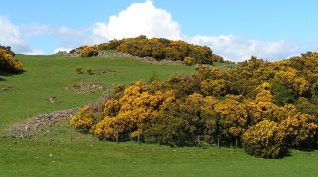 Kerbers Hill fort The remains of the drystone wall surrounding this fort are easily seen. The fort sits atop the ridge, and the entire upland area is littered with remains of other fortified sites.