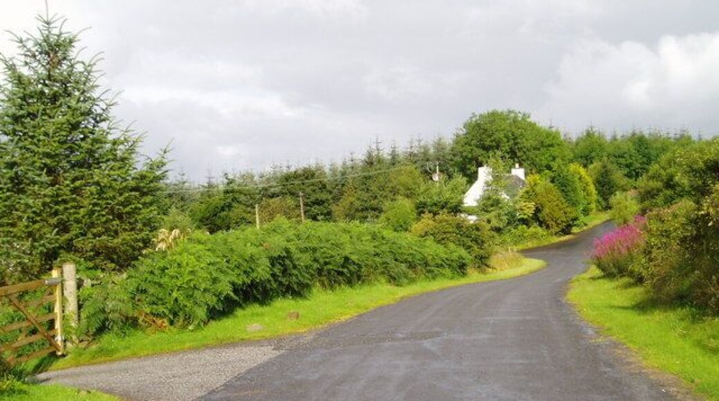 Brockloch Cottage, Carsphairn. An old sweep of road (A713) with Brockloch Cottage almost hidden amongst the trees.