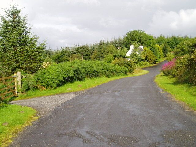 A rural road curving through a green landscape with trees and bushes.