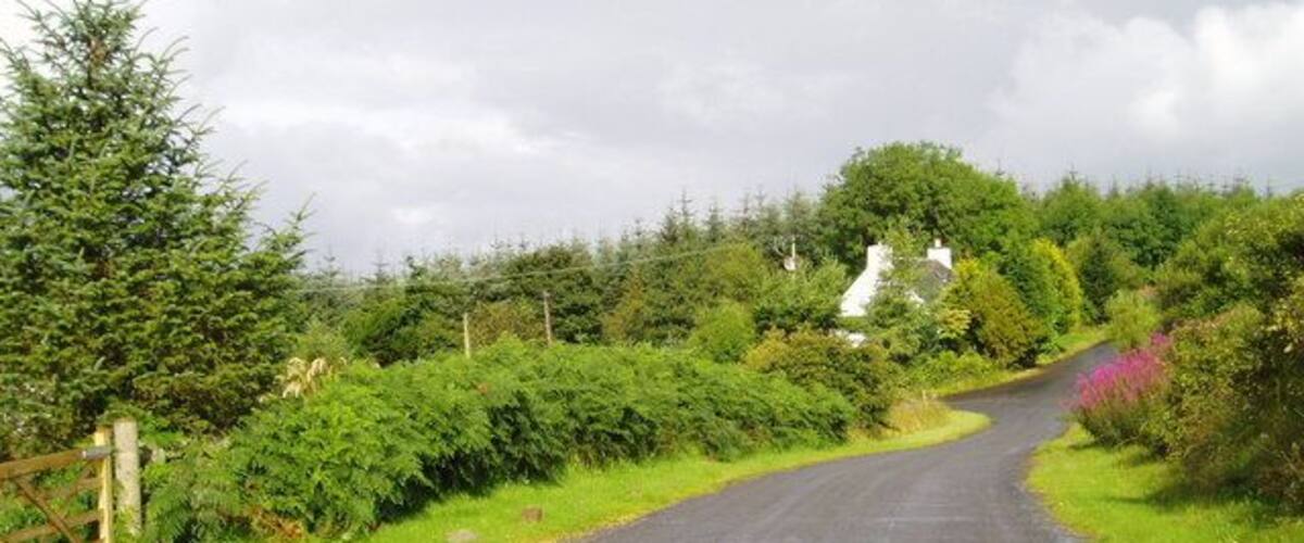 A rural road curving through a green landscape with trees and bushes.