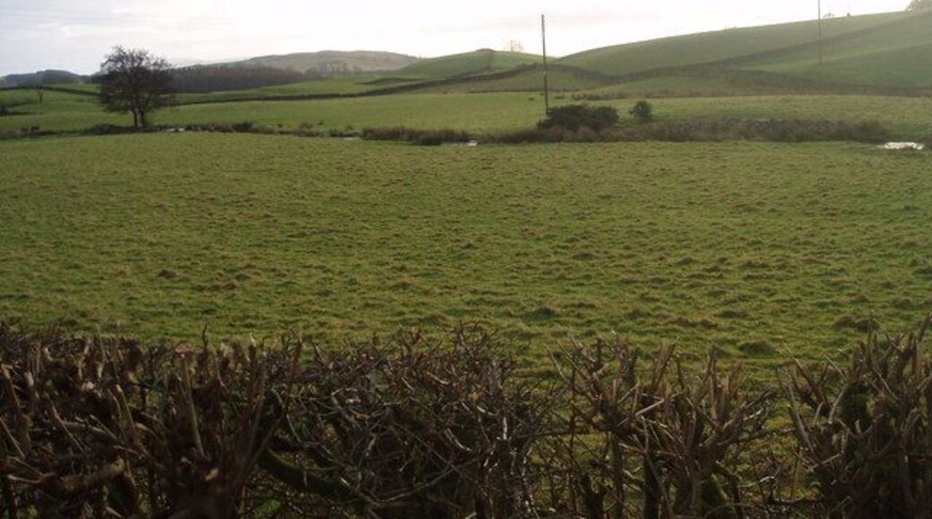 Farmland and Minnydow Burn