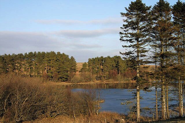 Troquhain Loch The north end of the loch viewed from a livestock field in early March.