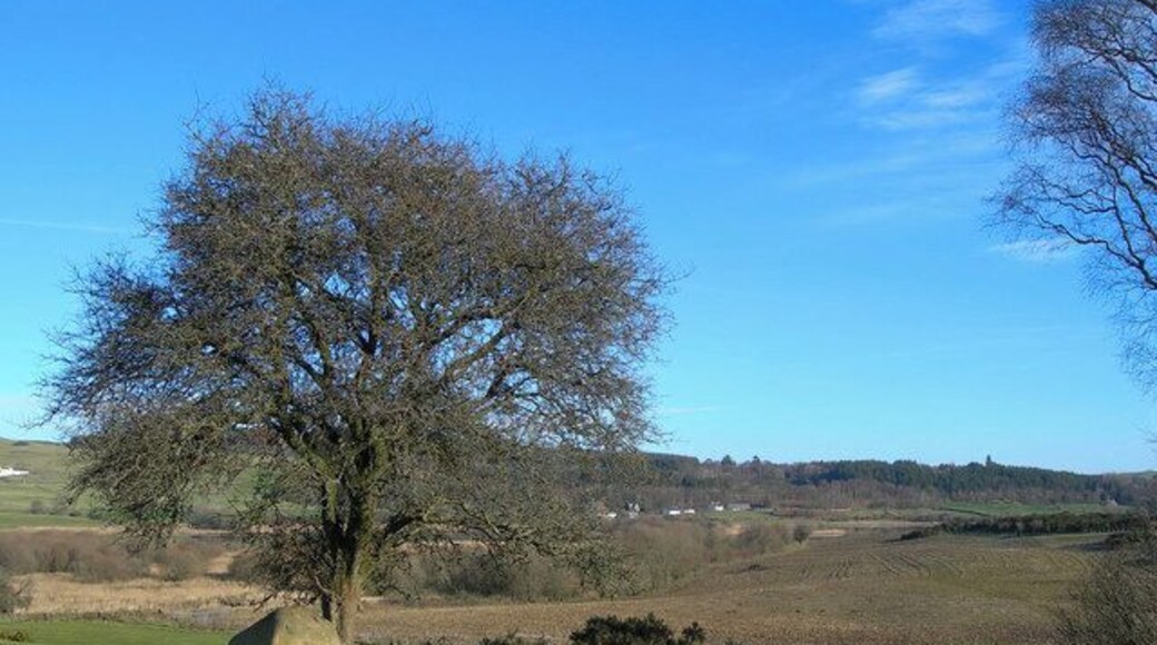Ken-Dee Farmland Fields beside the Ken-Dee marshes on a crisp January morning.