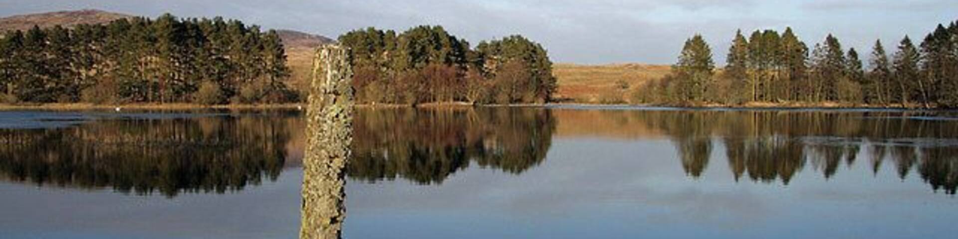 Troquhain Loch Viewed from the west bank near the end of a beautiful March day with calm conditions on the water. A pair of mute swans were at the north end of the loch.