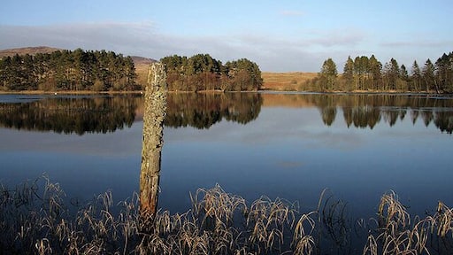 Troquhain Loch Viewed from the west bank near the end of a beautiful March day with calm conditions on the water. A pair of mute swans were at the north end of the loch.