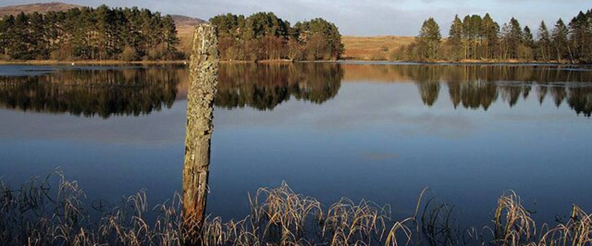 A calm lake with a wooden post in the foreground, surrounded by trees and a distant hill.