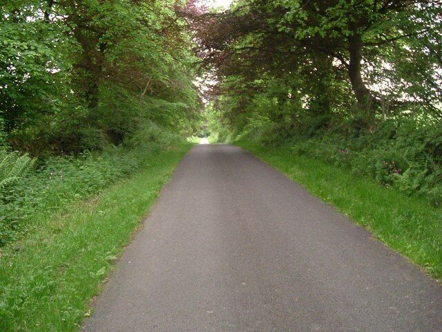 A leafy lane Just outside Springholm