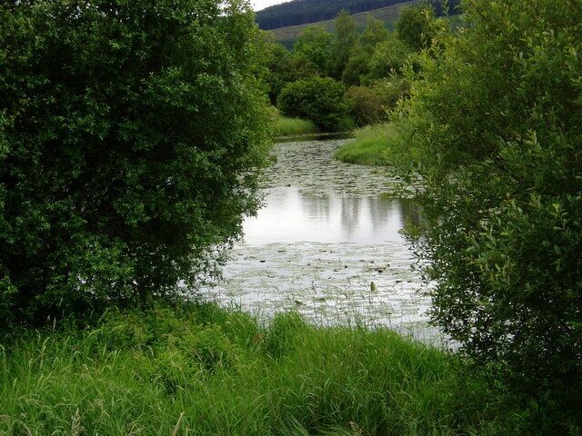 Loch Ken Marshes