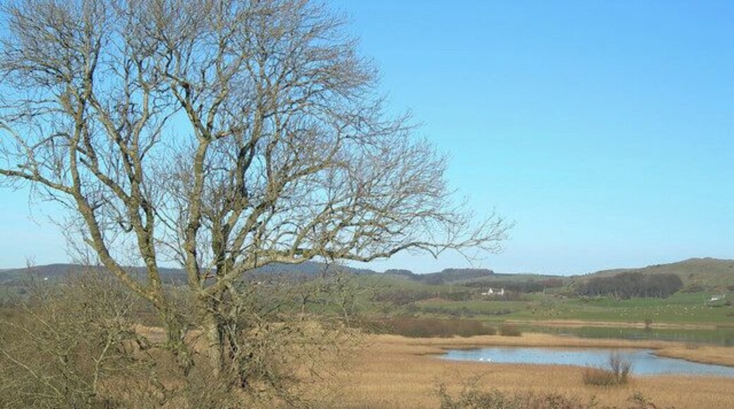 The Ken-Dee Marshes from Balmaghie Churchyard