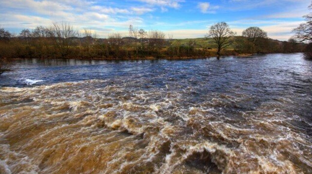 River Ken, with water from Glenlee Tailrace Emerging In The Foreground