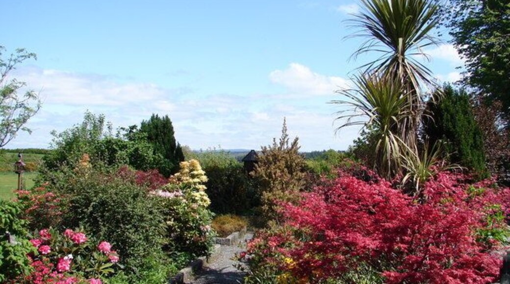 Millennium Garden, Auchencairn The Millennium Garden in Auchencairn is a community landscaped site opened 2006.