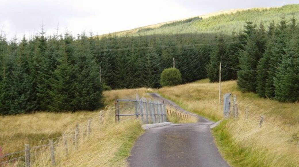 Woodhead Bridge, Carsphairn This bridge is situated on the service road to Woodhead and spans the Carsphairn Lane.