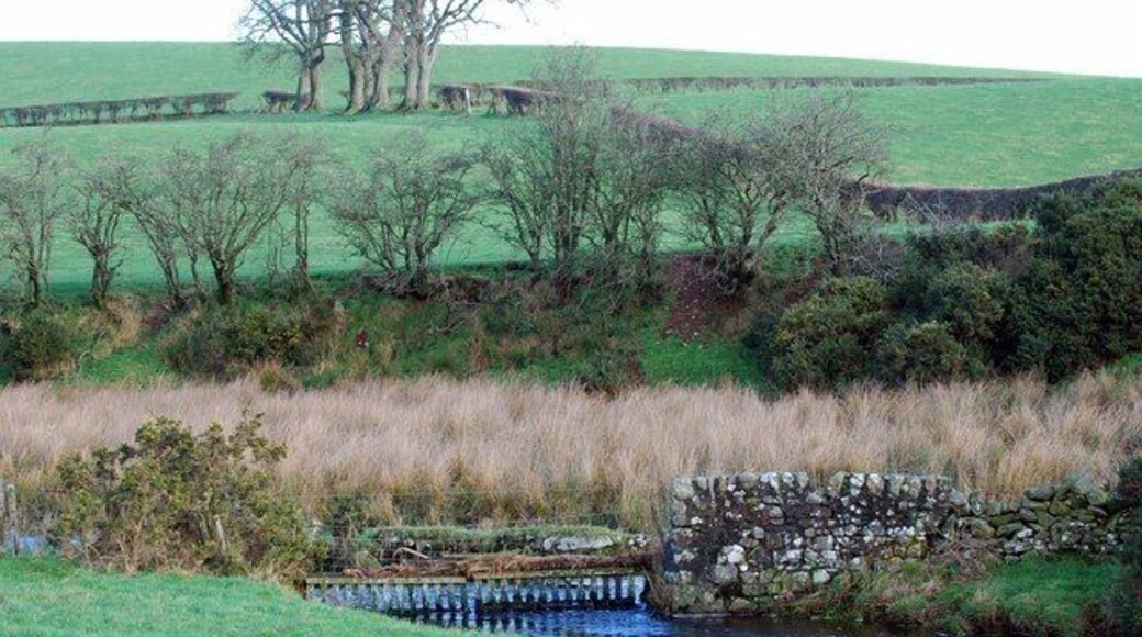Fence spanning the burn