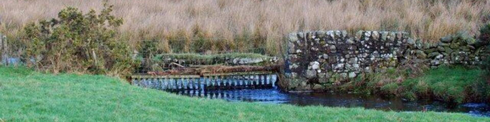 Fence spanning the burn