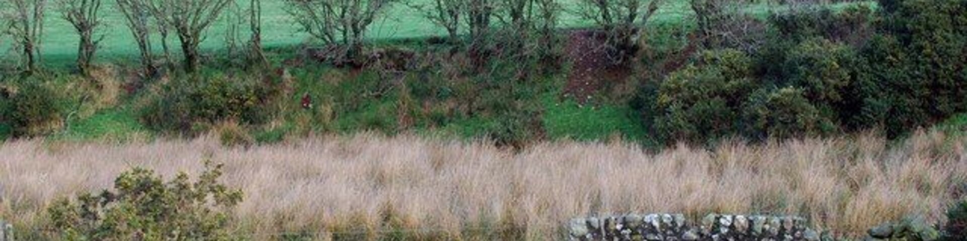 Fence spanning the burn