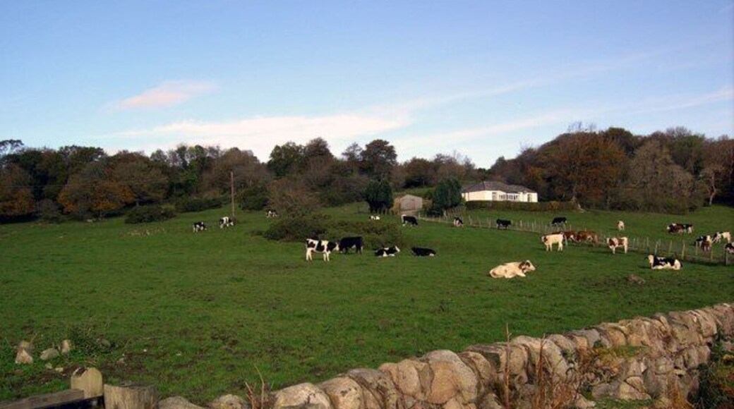 Near Torr Farm Looking across fields near Torr Farm.