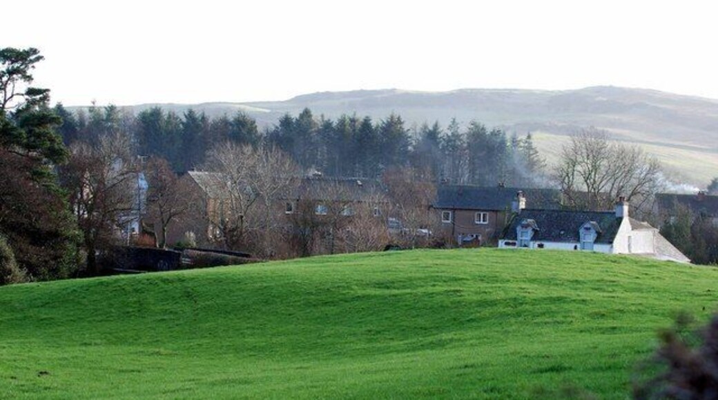 Field near Springholm The burn runs through this field to the left of this picture. You can just make out the small bridge on the left.