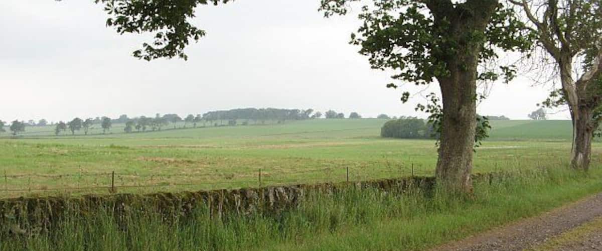 A rural landscape with a dirt road, stone wall, and a large tree.