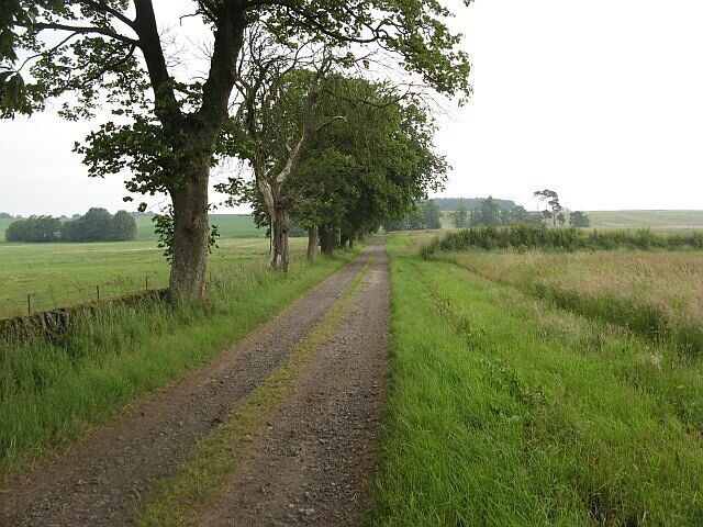 Road to Rushfield Running through arable farmland.