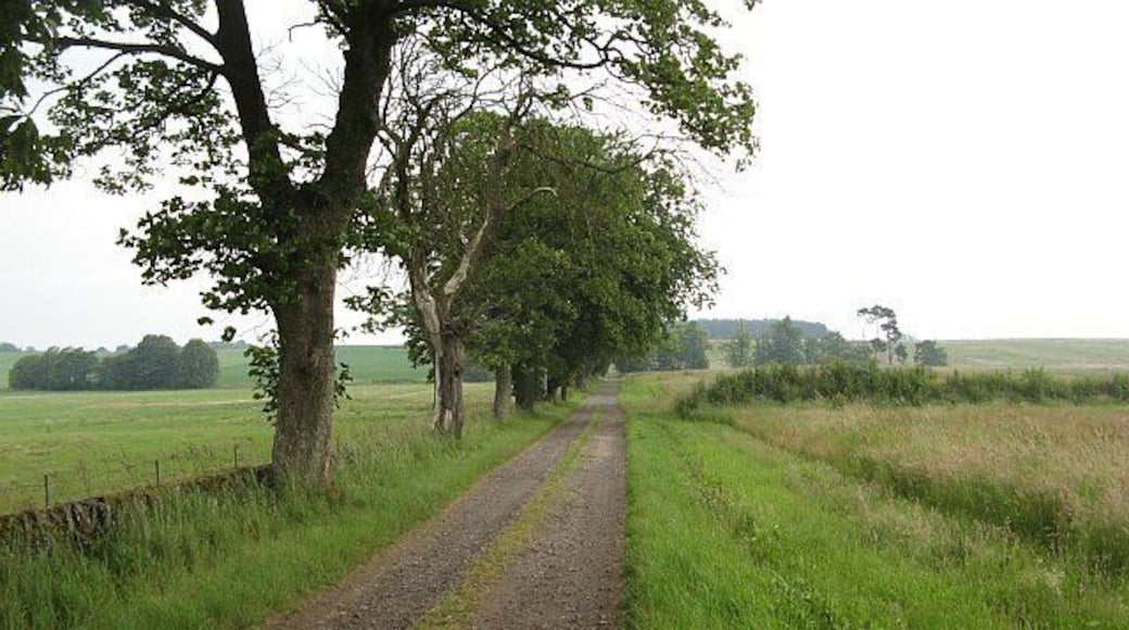 Road to Rushfield Running through arable farmland.