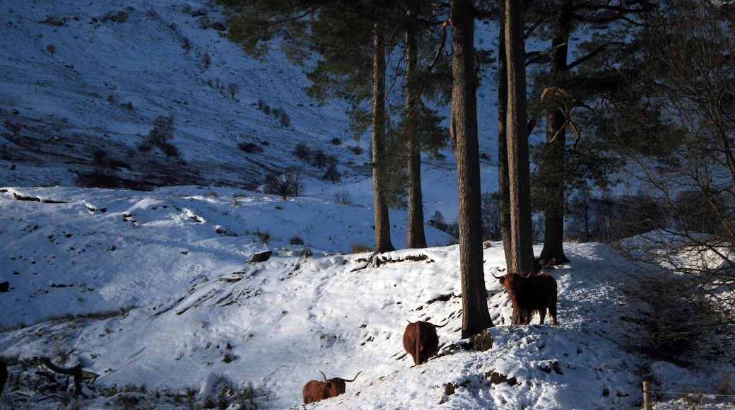Scotland A82 heading for Fort William from Sterling..
