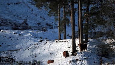 Scotland A82 heading for Fort William from Sterling..