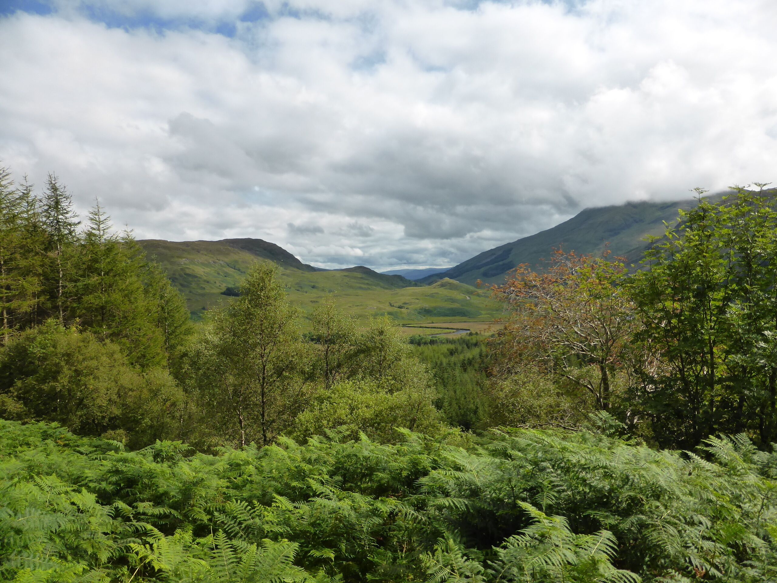 West Highland Way between Inverarnan und Tyndrum.