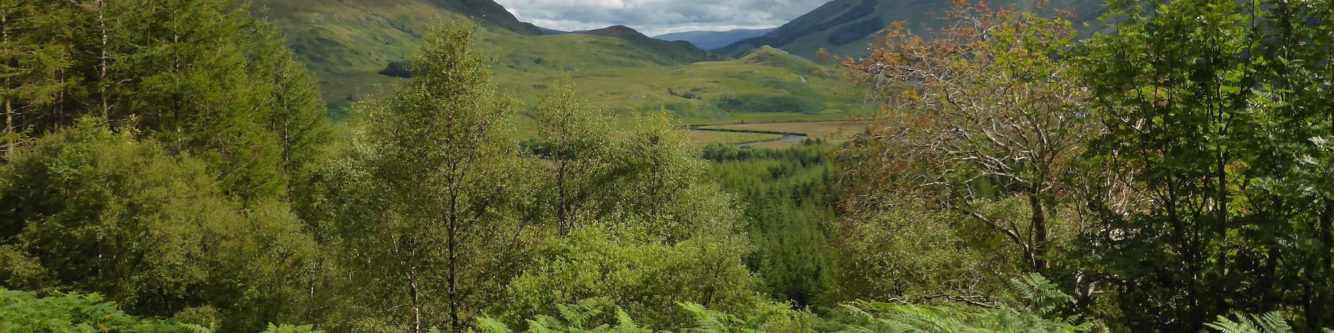 West Highland Way between Inverarnan und Tyndrum.