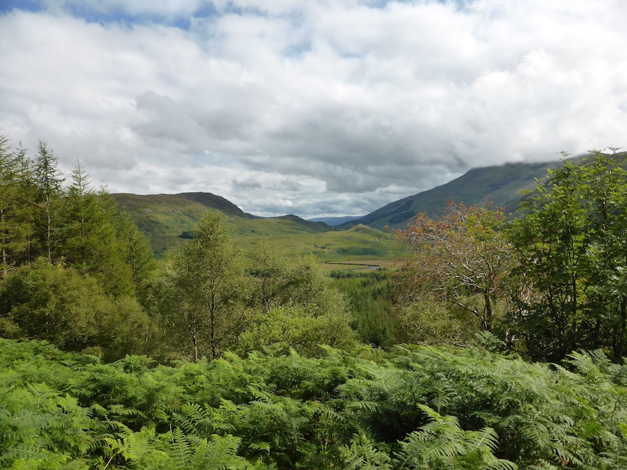 West Highland Way between Inverarnan und Tyndrum.