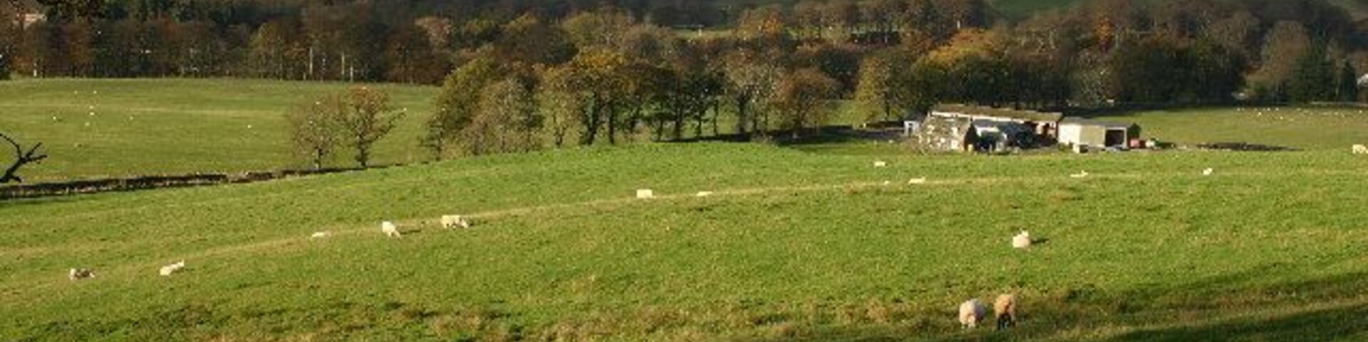 A green field with sheep, a farmhouse, and rolling hills in the background.