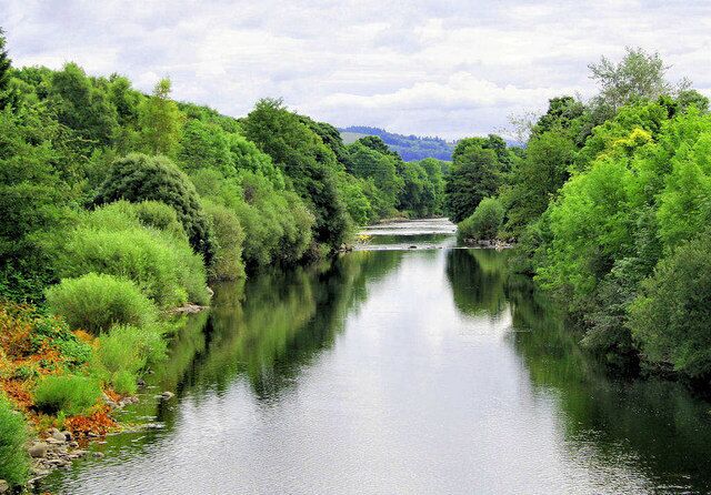 A river surrounded by lush greenery and trees.