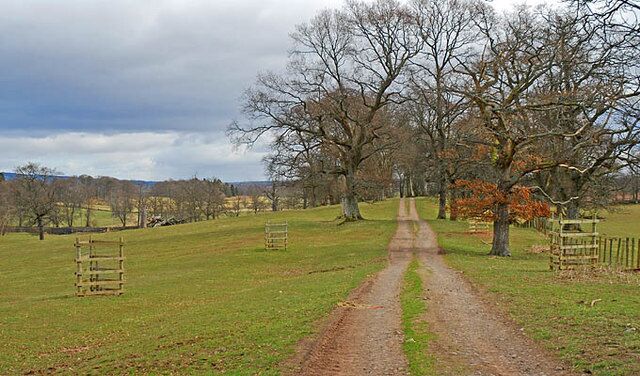 Track through Drummond Park looking east