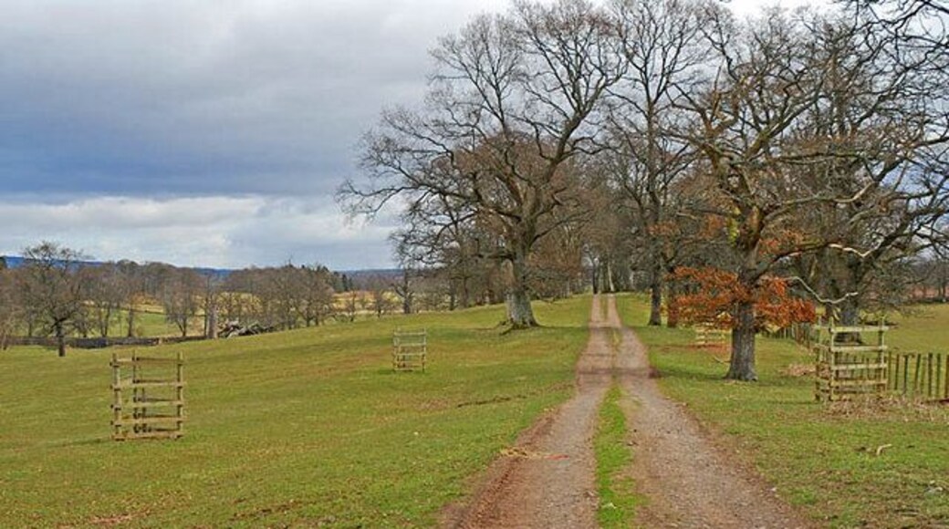 Track through Drummond Park looking east