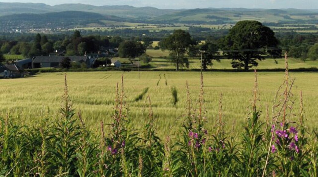 Farmland east of Muthill. Looking down from near Muir of Spot Wood. Lintibert is below, just beyond the A822 which is marked by the line of trees.
