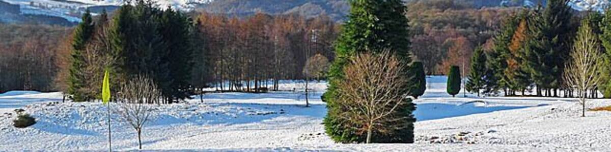 Schneebedeckte Landschaft mit einem Berg im Hintergrund und einigen Bäumen im Vordergrund.