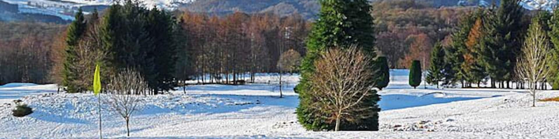 A snowy landscape with a mountain in the background and a few trees in the foreground.