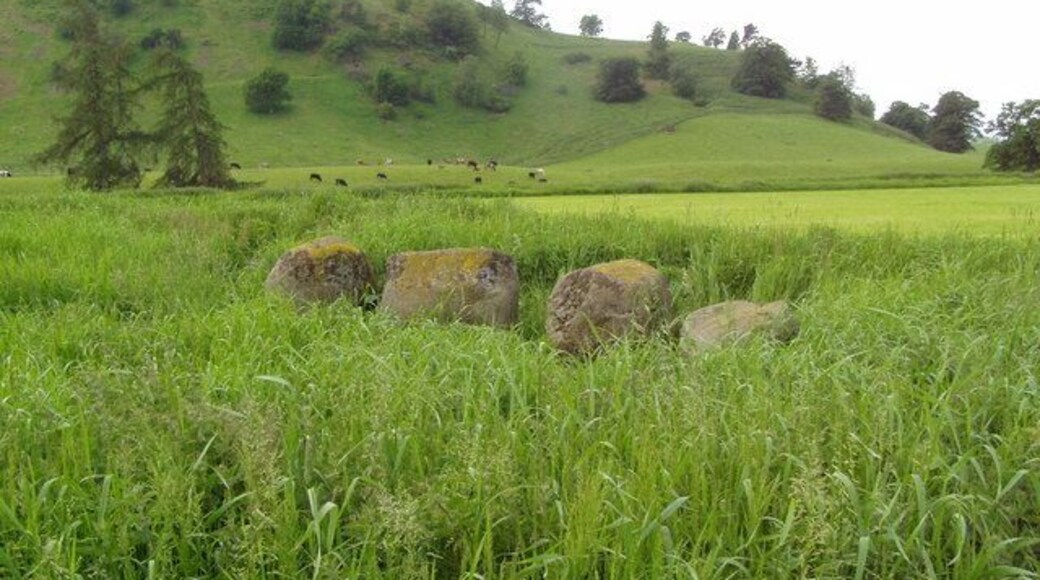 Monzie Stone Circle from North