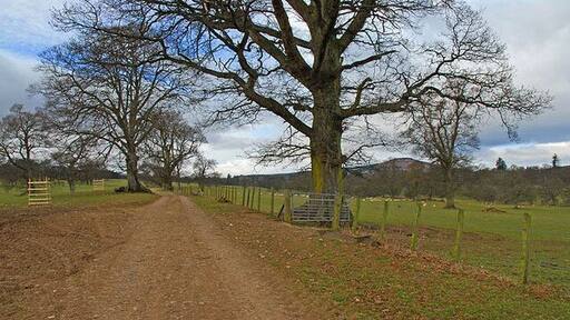 Track through Drummond Park