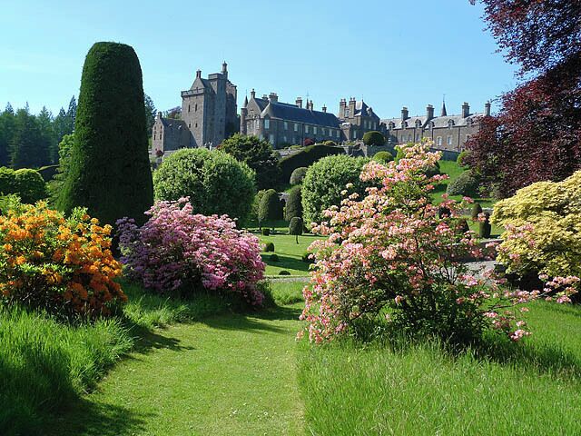 A well-manicured garden with various flowering bushes, a neatly trimmed hedge, and a large building in the background.