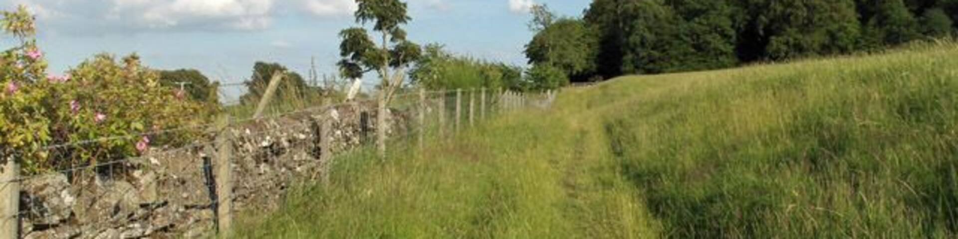 Muir of Spot Wood. Looking up the footpath from Muthill.