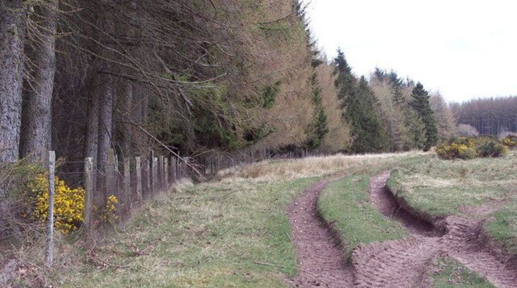 Forest Edge Forestry at Murray's Hill.