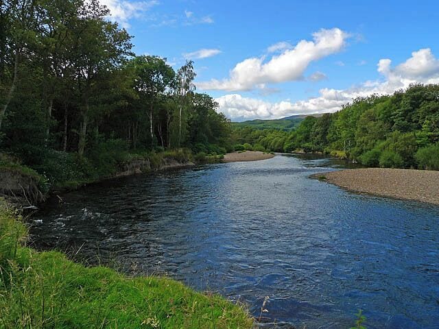 A river flowing through a forested area with a clear sky.