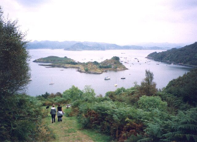on the forest walk above Crinan Harbour.