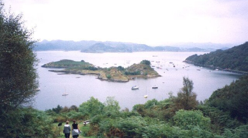 on the forest walk above Crinan Harbour.