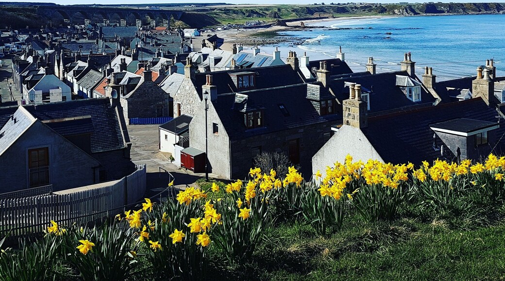 Stopped off at this spot to eat our cone. Couldn't have asked for a better view over Cullen. #Green